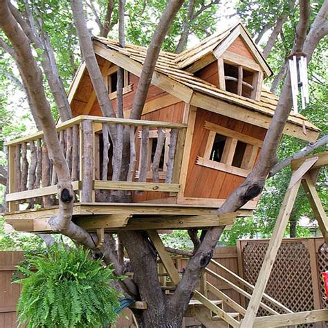 building a tree house without death